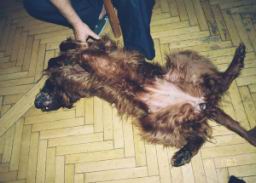 Resize of 000038.JPG